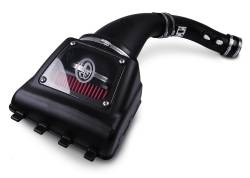 Cold Air Intake Kit 2010-14 F150 6.2L *Choose Filter* - 75-5077