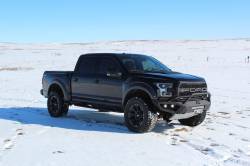 BDS Suspension - BDS Suspension 4" Suspension Lift Kit System for 2017-2018 Ford F150 Raptor 4WD - Image 2