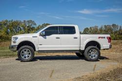 Rough Country - ROUGH COUNTRY OVAL NERF STEP CREW CAB | BLACK | FORD F-150 2WD/4WD (2015-2022) - Image 3
