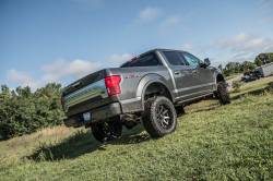 BDS Suspension - BDS 6" Perfomance Elite Coil-Over Lift Kit FOR 2015-2020 Ford F150 4WD - Image 4